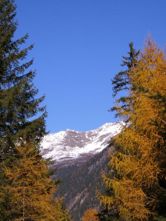 Dorfblick Apartamento